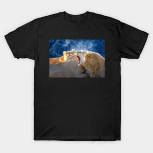 Lion Animal Wildlife Jungle Nature Safari Adventure Discovery Africa Digital Painting T-Shirt